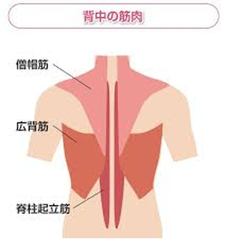 画像2576