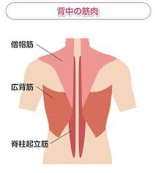 【AIの作成による文章です